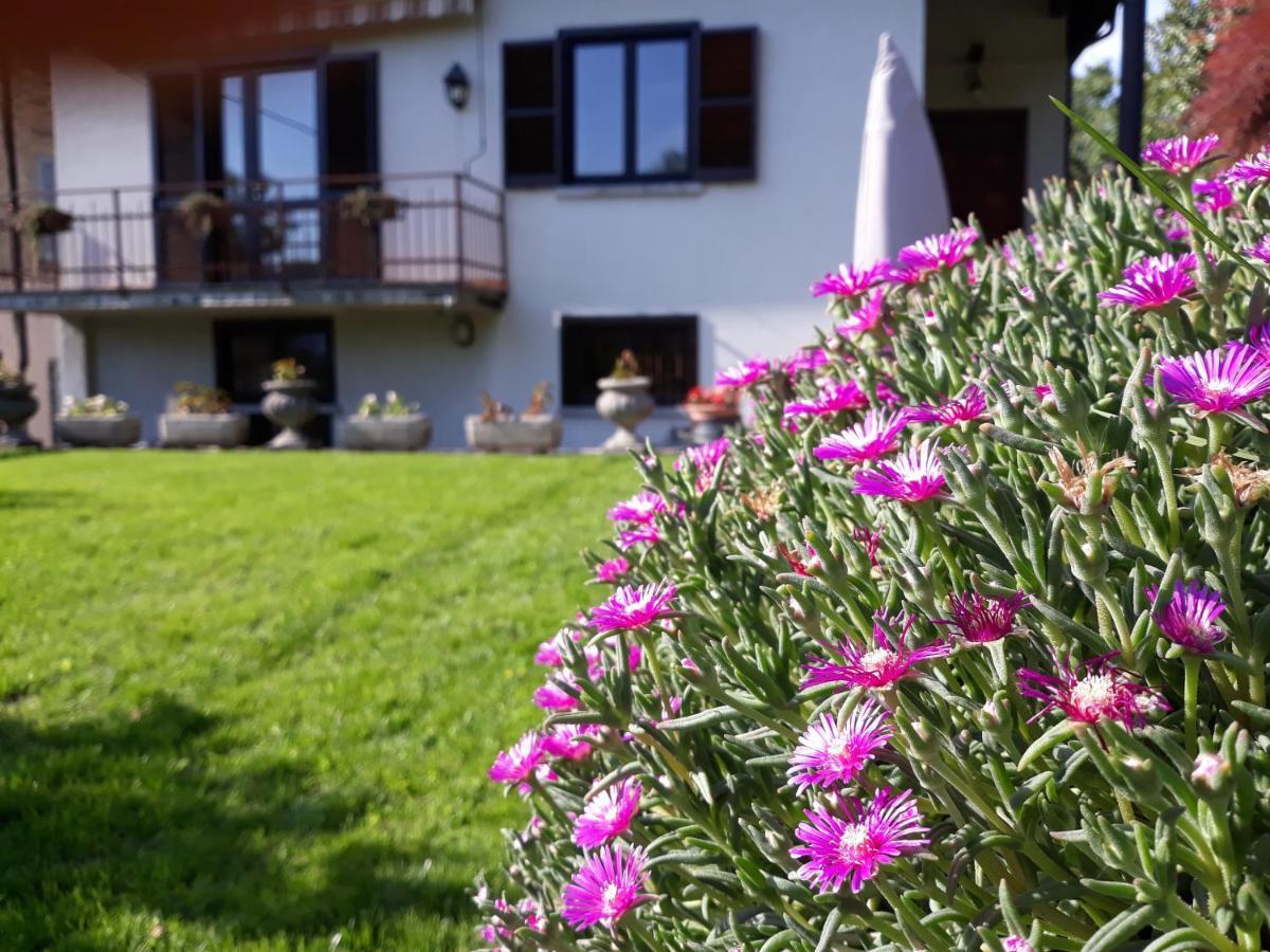 Villa Giardino Dervio Exteriér fotografie